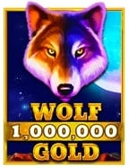 Magical Kitties วิธีเล่น